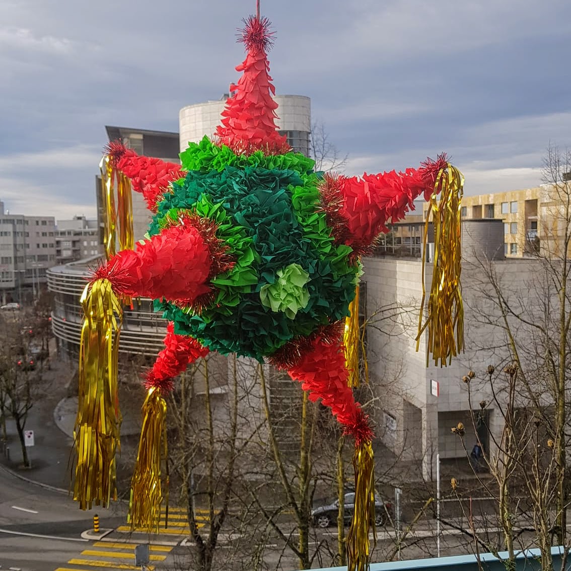 Mexikanischer Stern